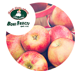 Boni Fructi, Ltd.