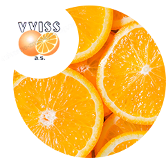 VVISS  Ltd.